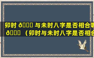 卯时 🕊 与未时八字是否相合呢 🐝 （卯时与未时八字是否相合呢怎么看）